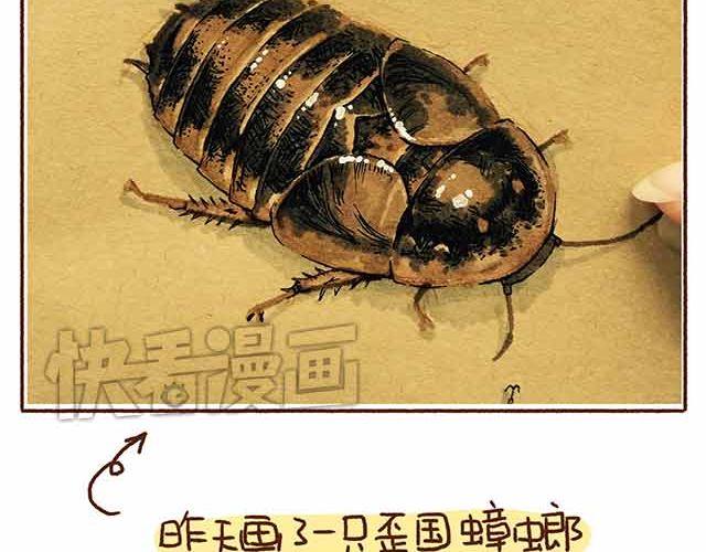 第44话 做了个伟大的决定-第44话