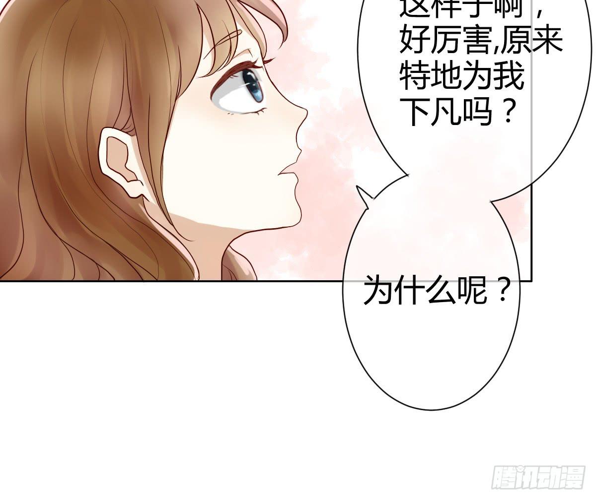 她为何不许愿！(1/3)-第4话