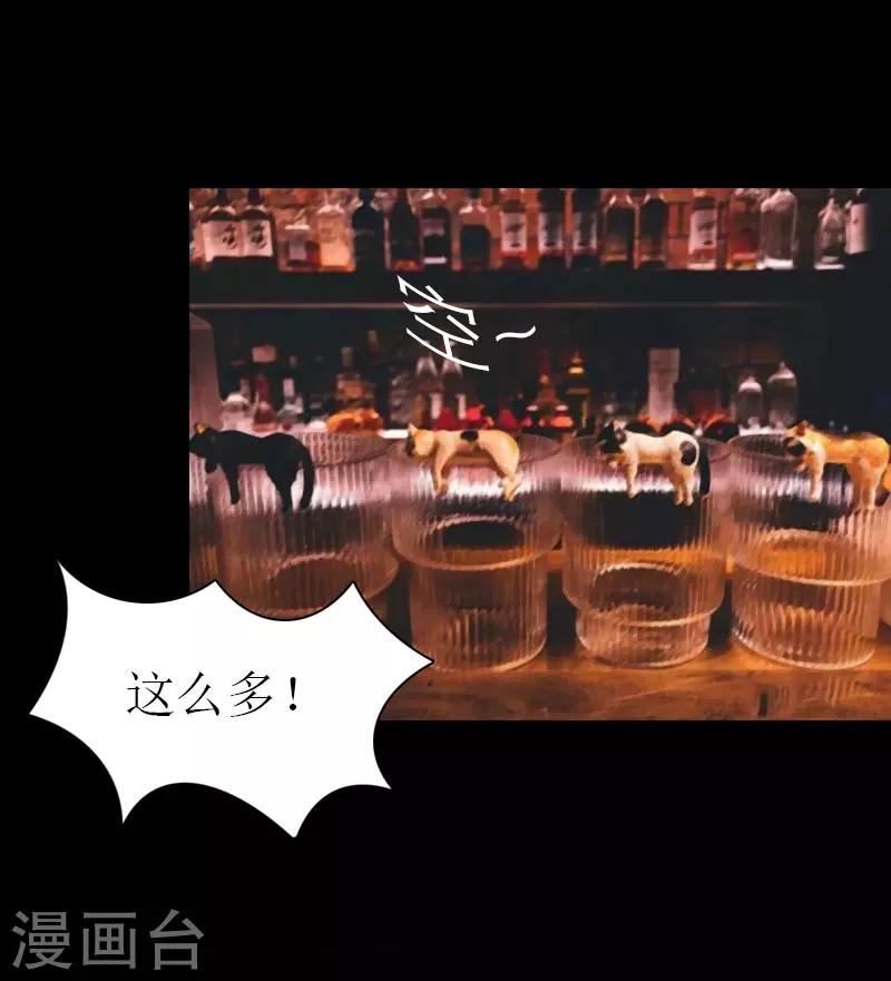 第14话 酩酊大醉-第14话