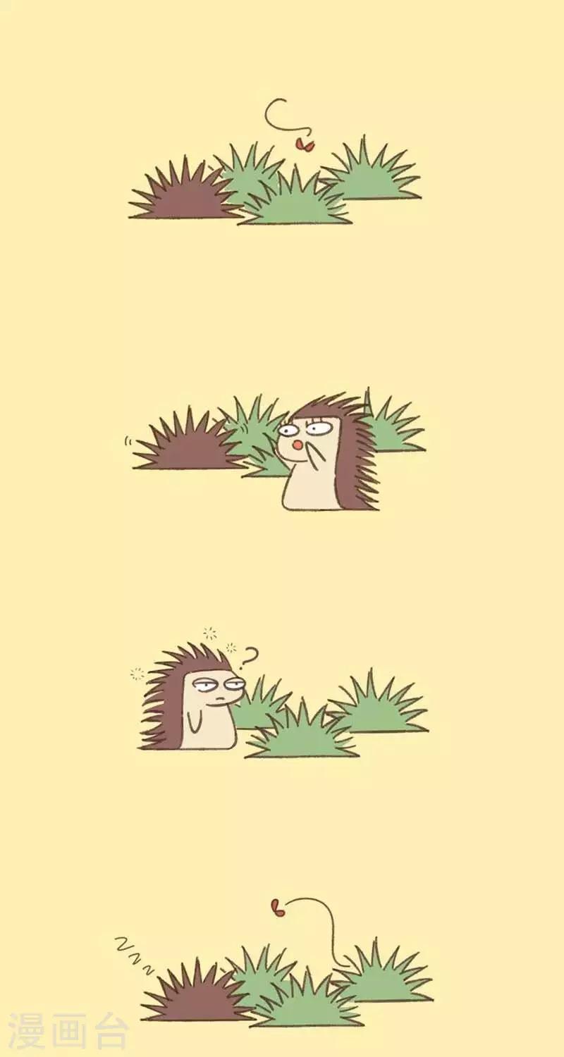 第30话  睡觉的刺猬-第30话