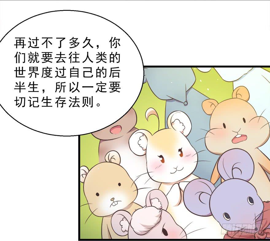 022九宝的回忆与动物平行世界(1/2)-第28话