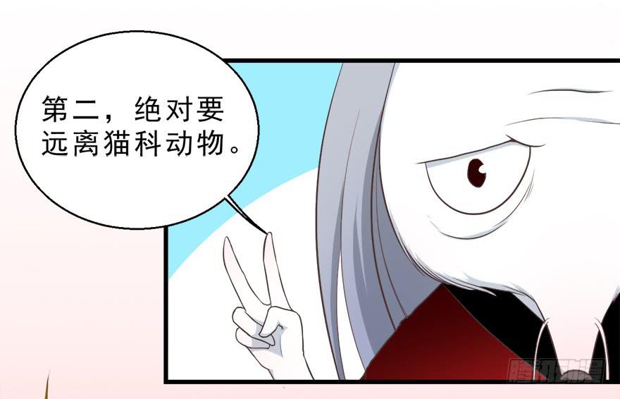 022九宝的回忆与动物平行世界(1/2)-第28话