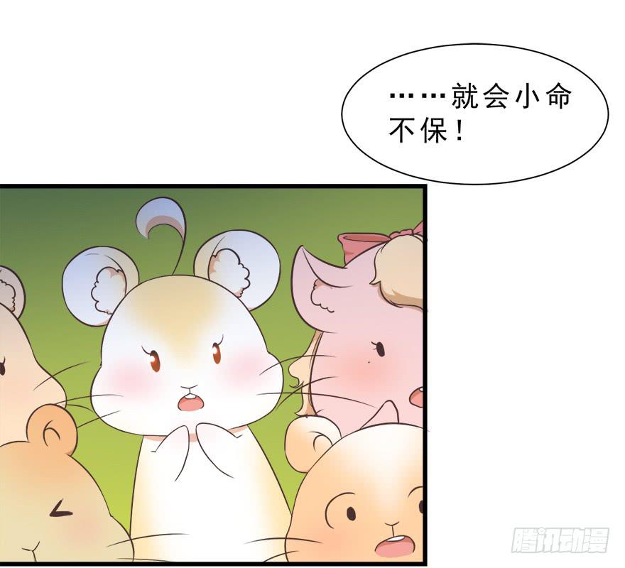 022九宝的回忆与动物平行世界(1/2)-第28话