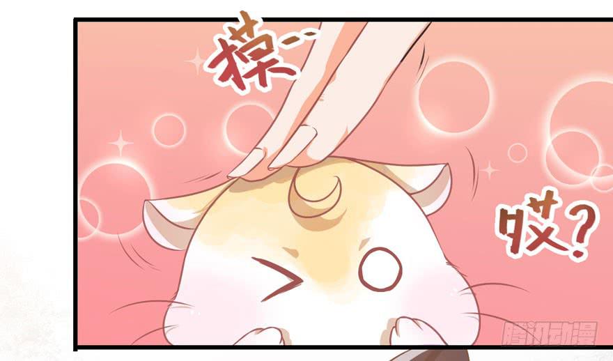 003和天敌同居？(1/2)-第4话