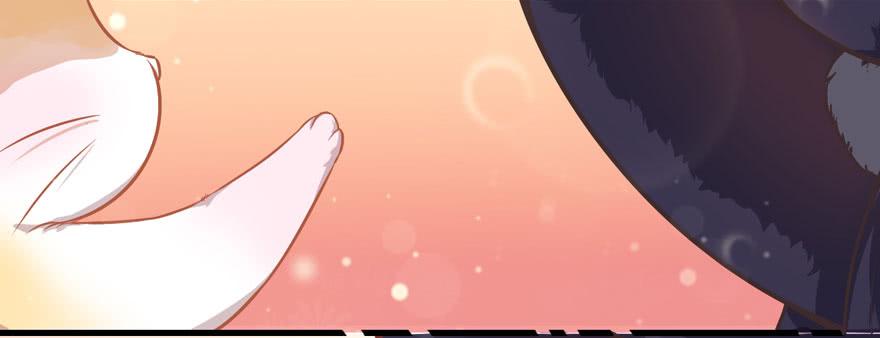 003和天敌同居？(1/2)-第4话