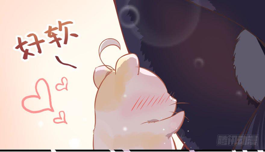 003和天敌同居？(1/2)-第4话