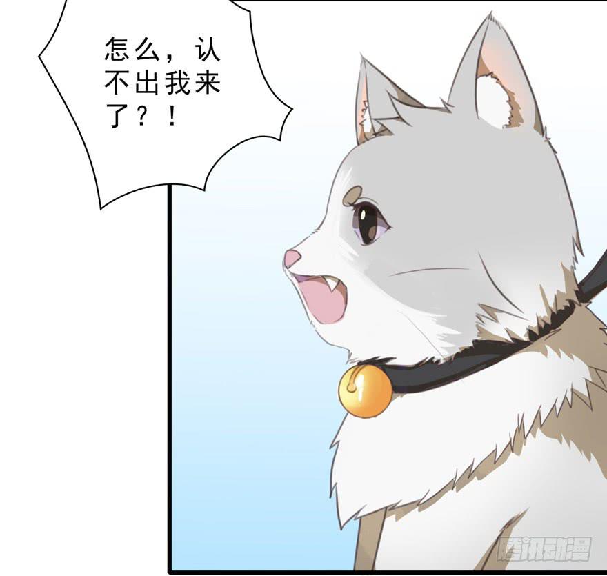 003和天敌同居？(1/2)-第4话