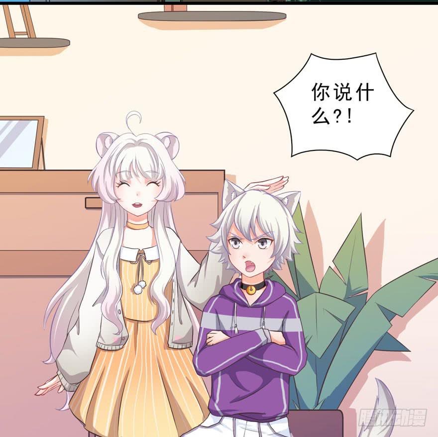 003和天敌同居？(1/2)-第4话