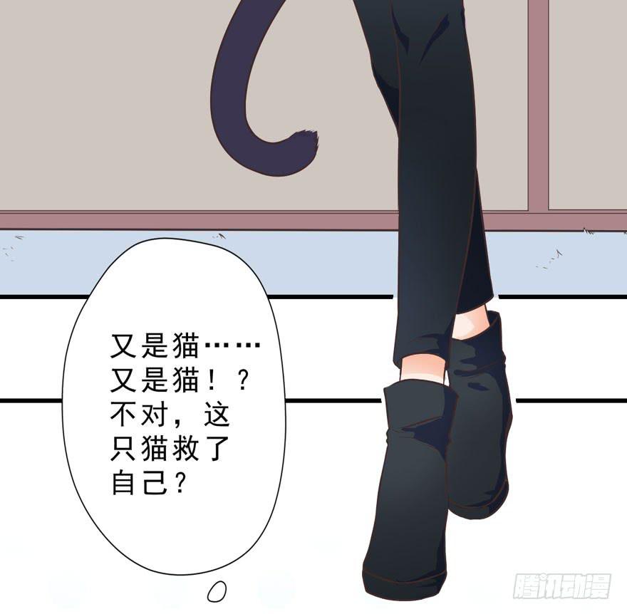 003和天敌同居？(1/2)-第4话