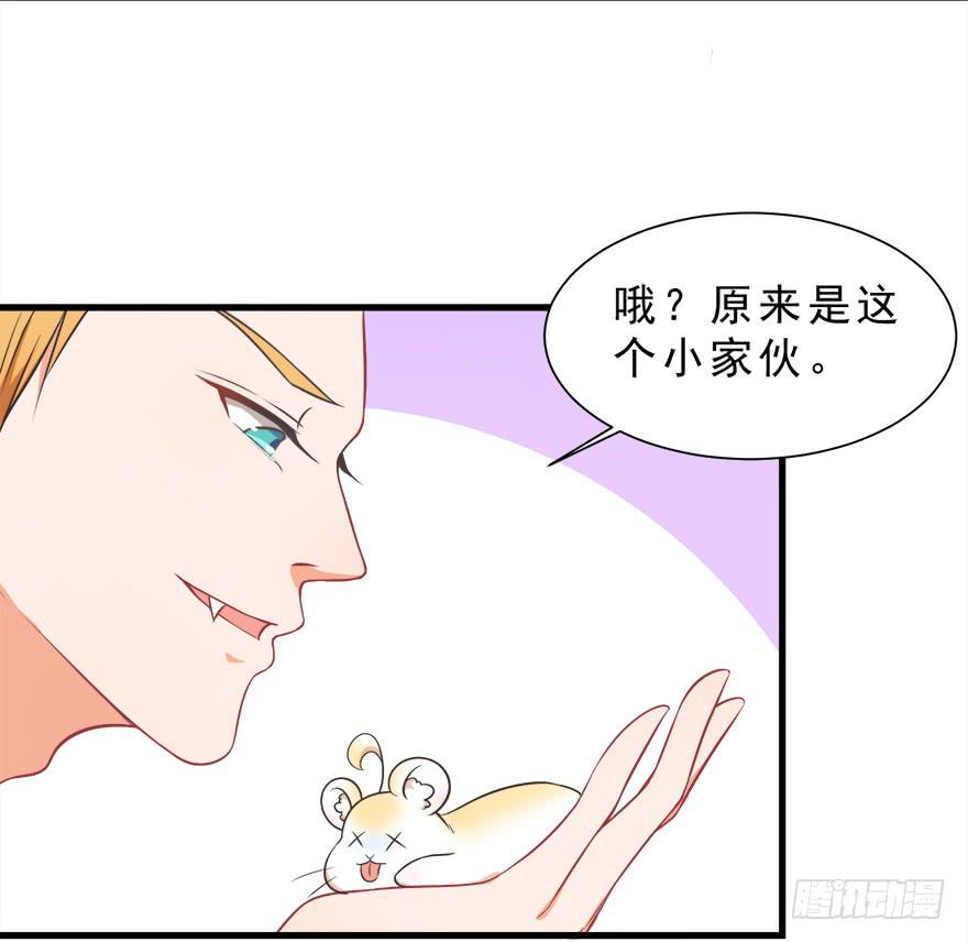 025九宝要被拍卖了（下）-第32话