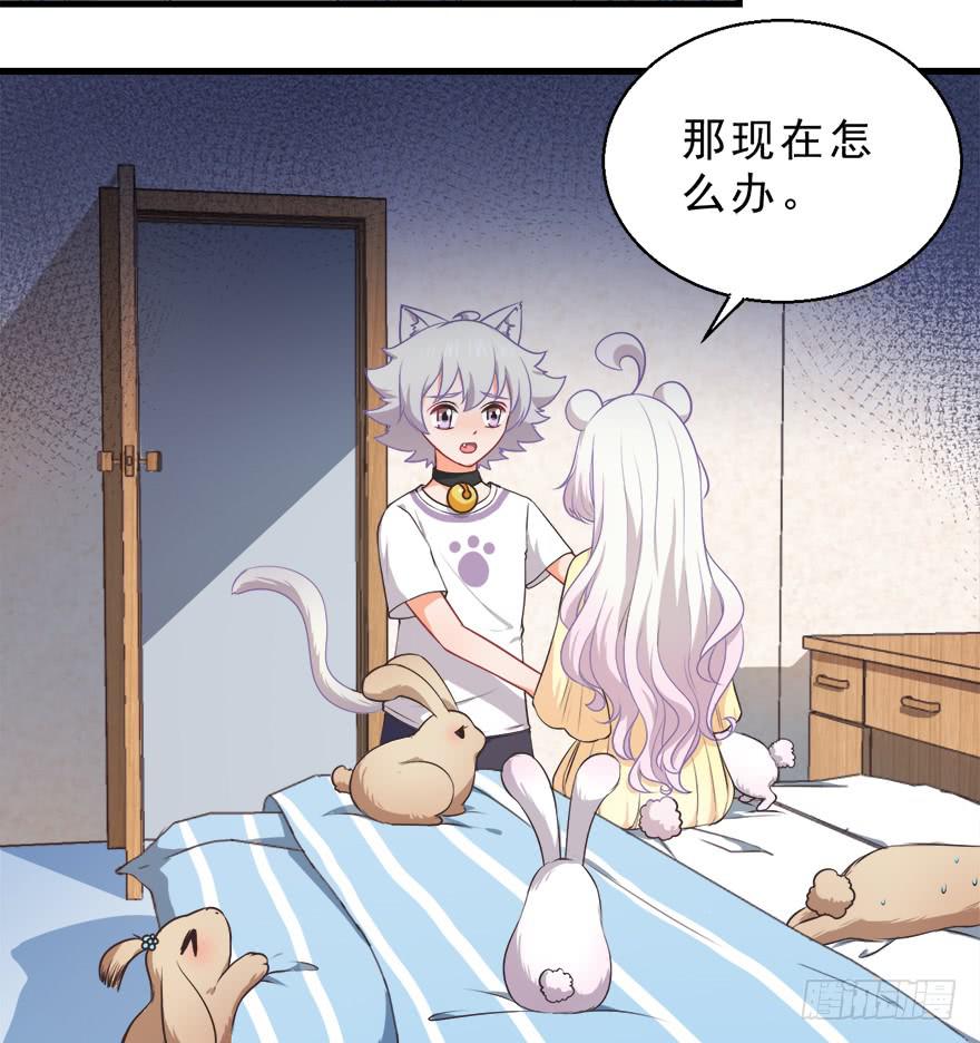 083命运的再次相遇-第92话