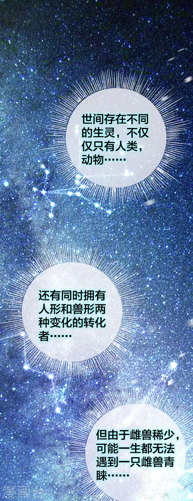 第1话 等待命中的她-第2话