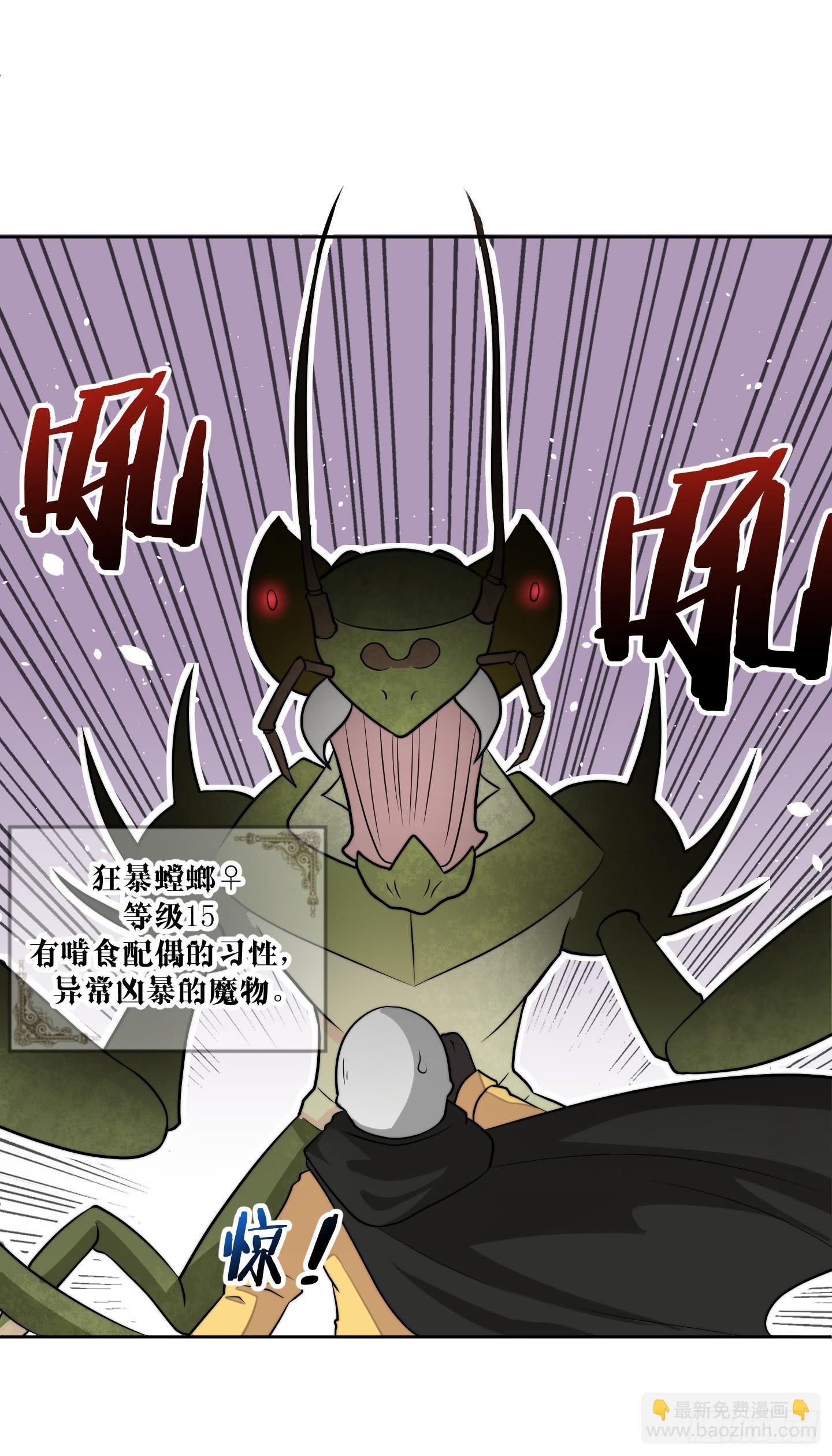 男儿不可一日无鸡！(1/2)-第4话