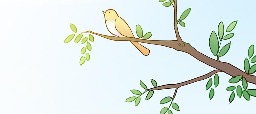 114 它们这么自由...(1/2)-第114话