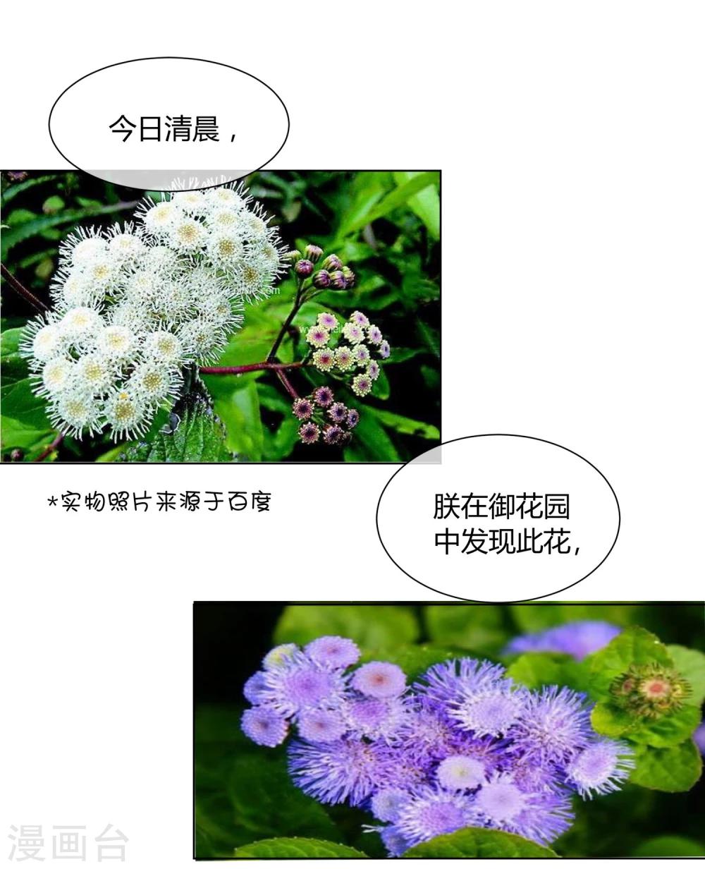 第26话 人模狗样的太子-第30话