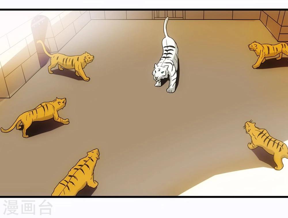 第10话 虎杀-第10话