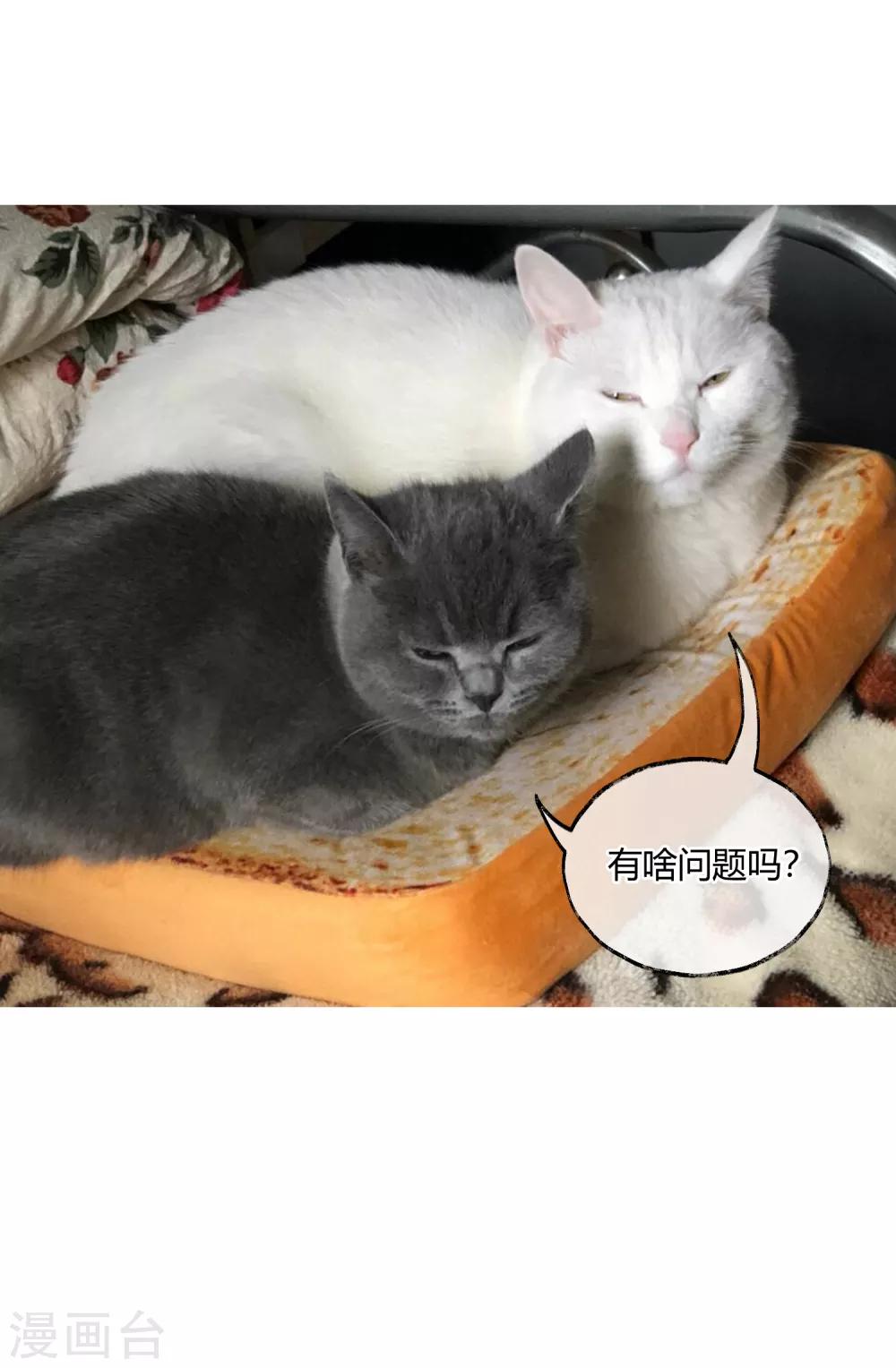 第10话 剧组里的陷阱-第10话