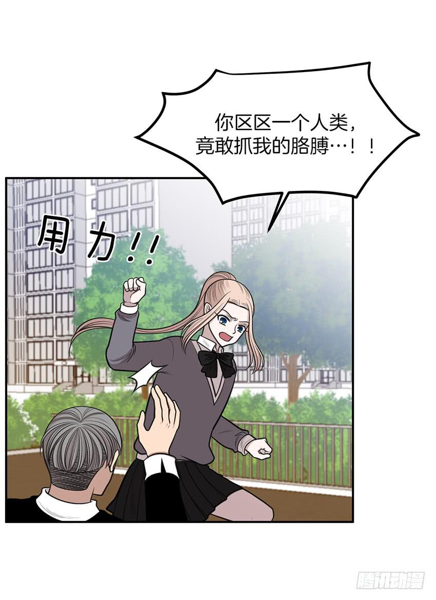 第十七话上-第34话