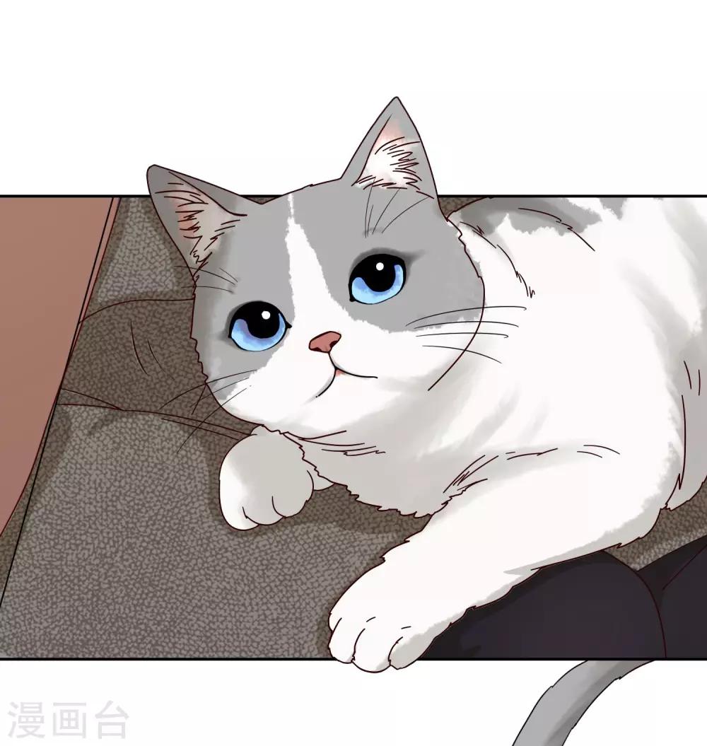 第15话 姝小影-第16话