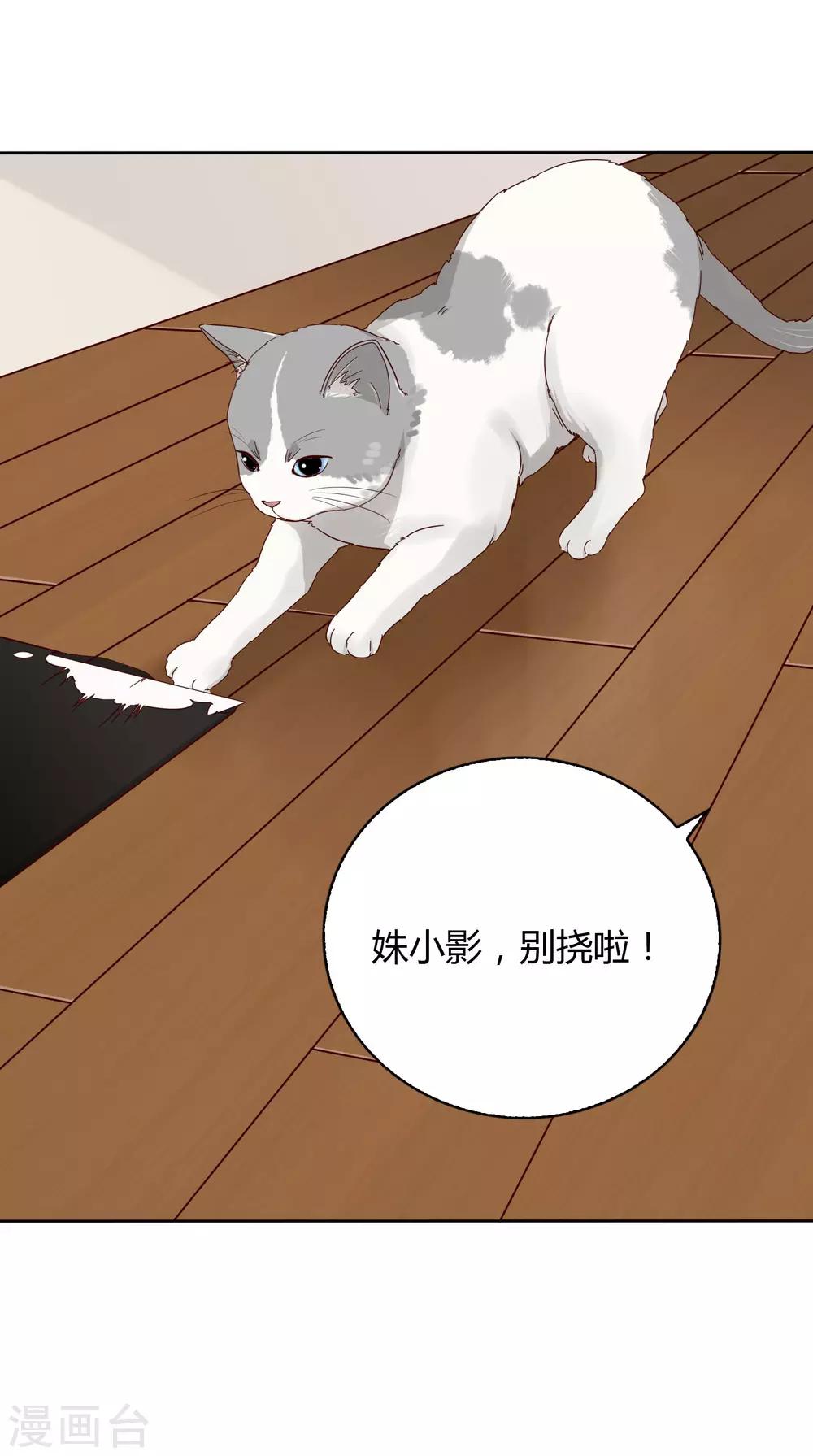 第15话 姝小影-第16话