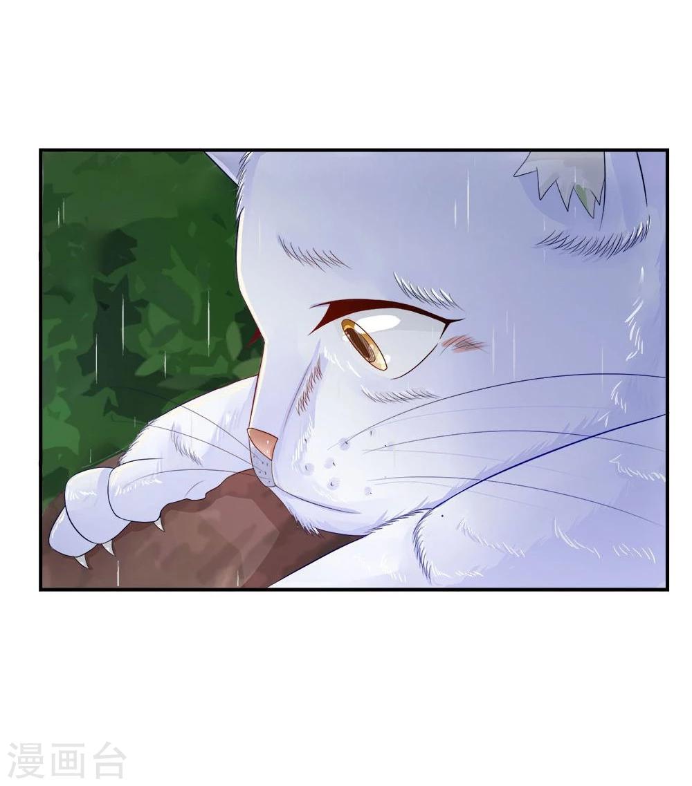 精修版第5-8话 小猫儿别怕(1/2)-第2话