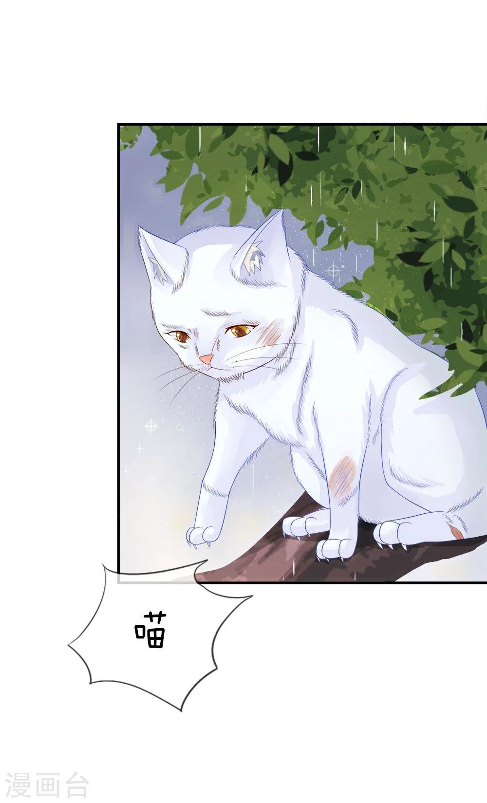 精修版第5-8话 小猫儿别怕(1/2)-第2话