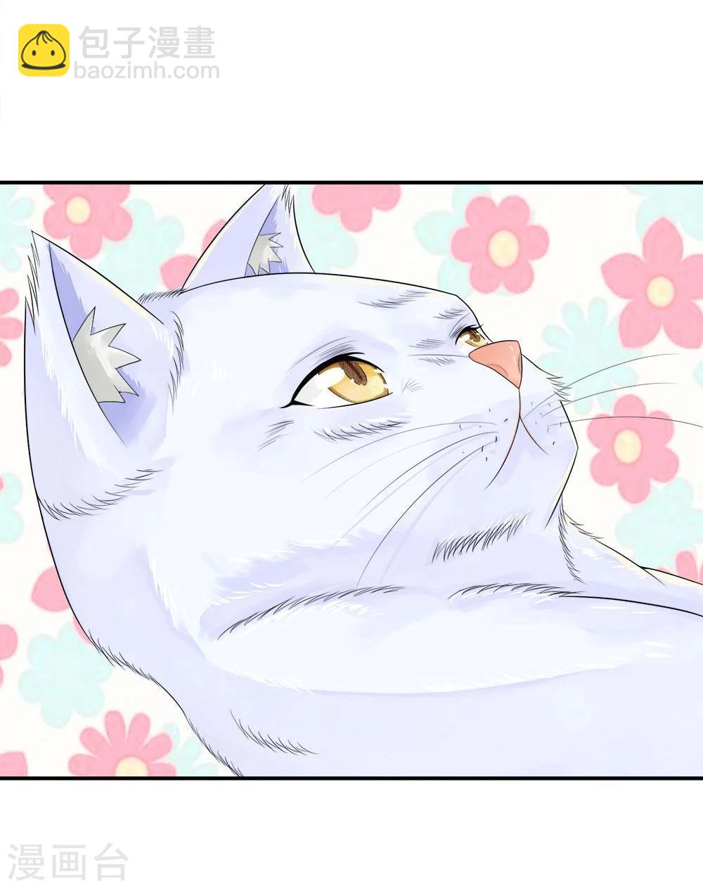 精修版第5-8话 小猫儿别怕(1/2)-第2话