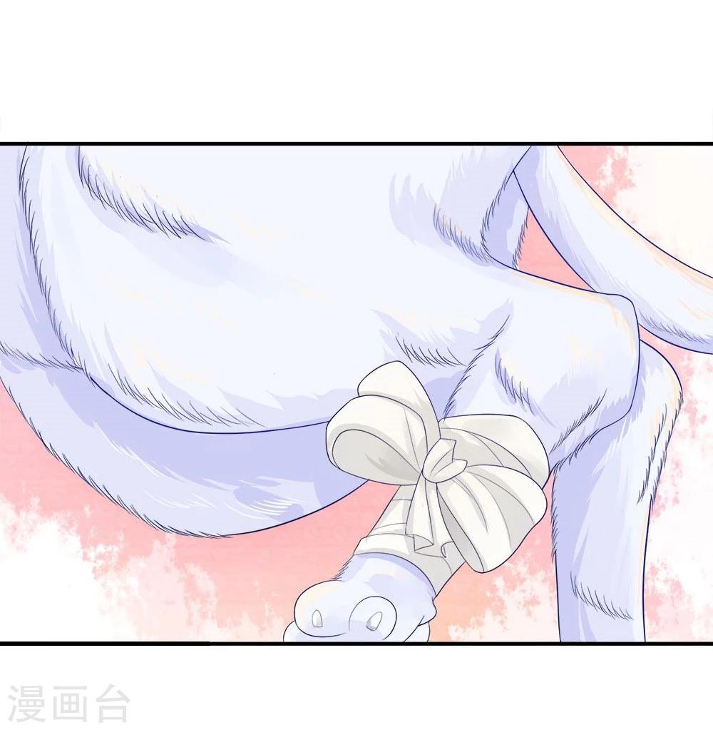 精修版第5-8话 小猫儿别怕(1/2)-第2话