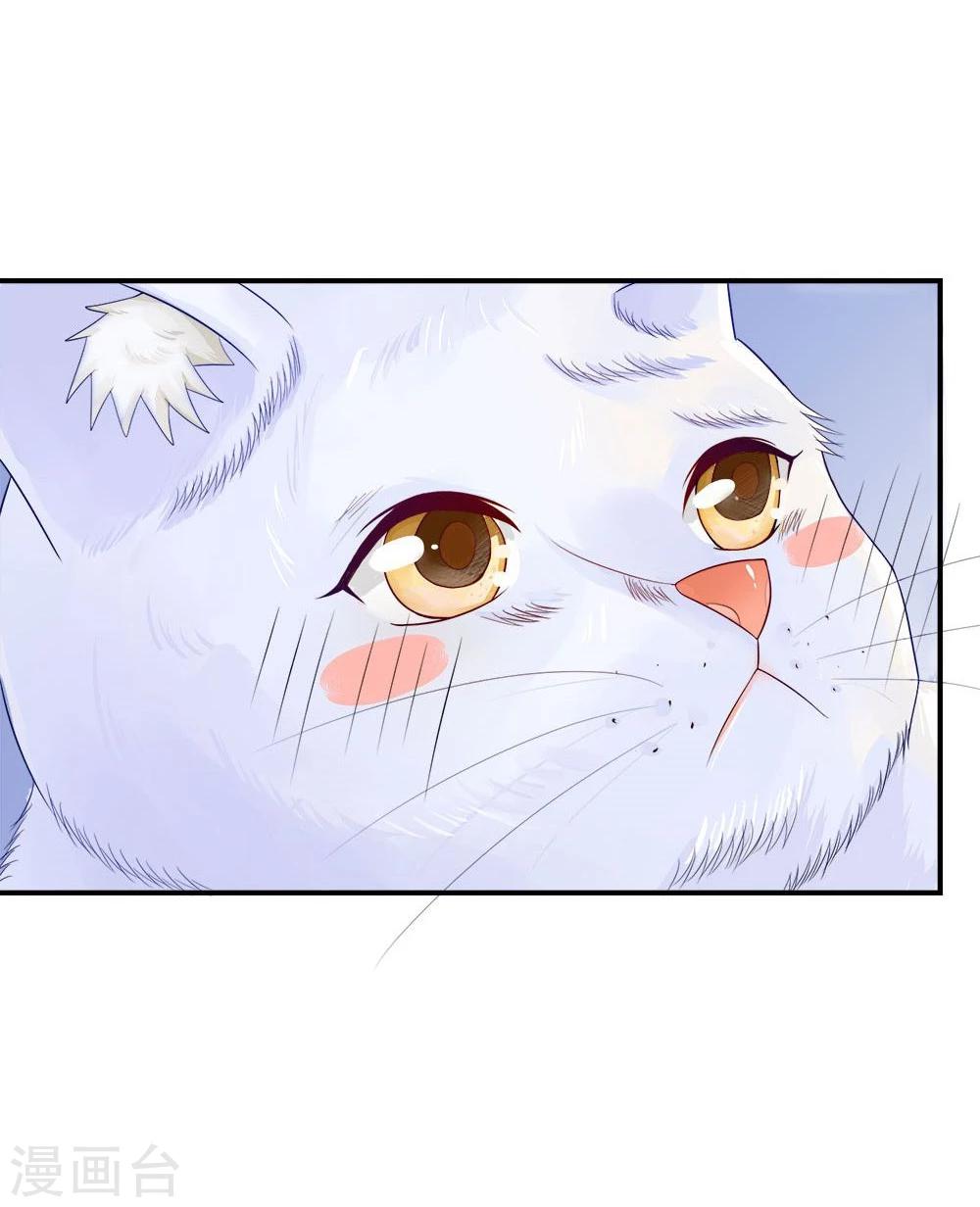 精修版第5-8话 小猫儿别怕(1/2)-第2话