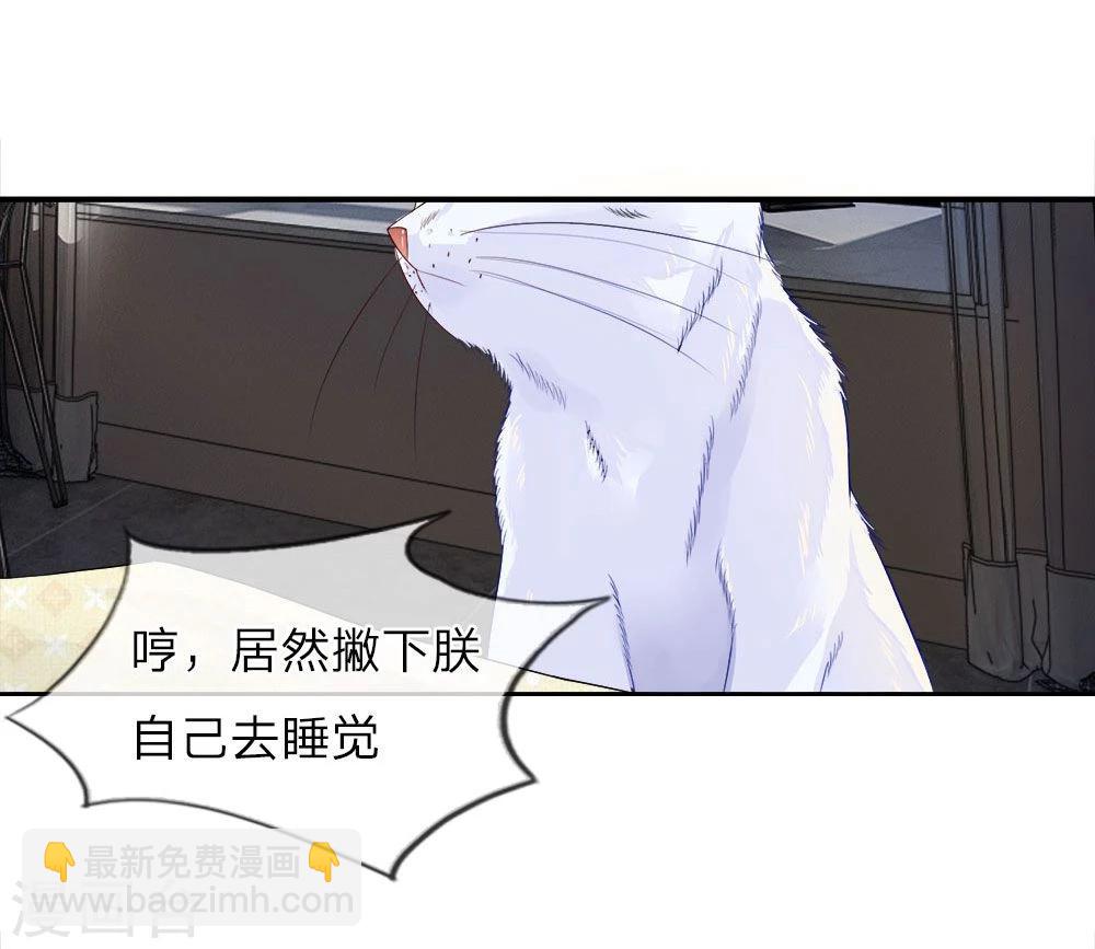 精修版第5-8话 小猫儿别怕(1/2)-第2话