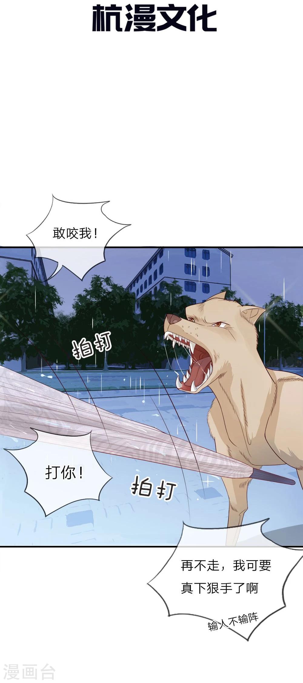 精修版第5-8话 小猫儿别怕(1/2)-第2话