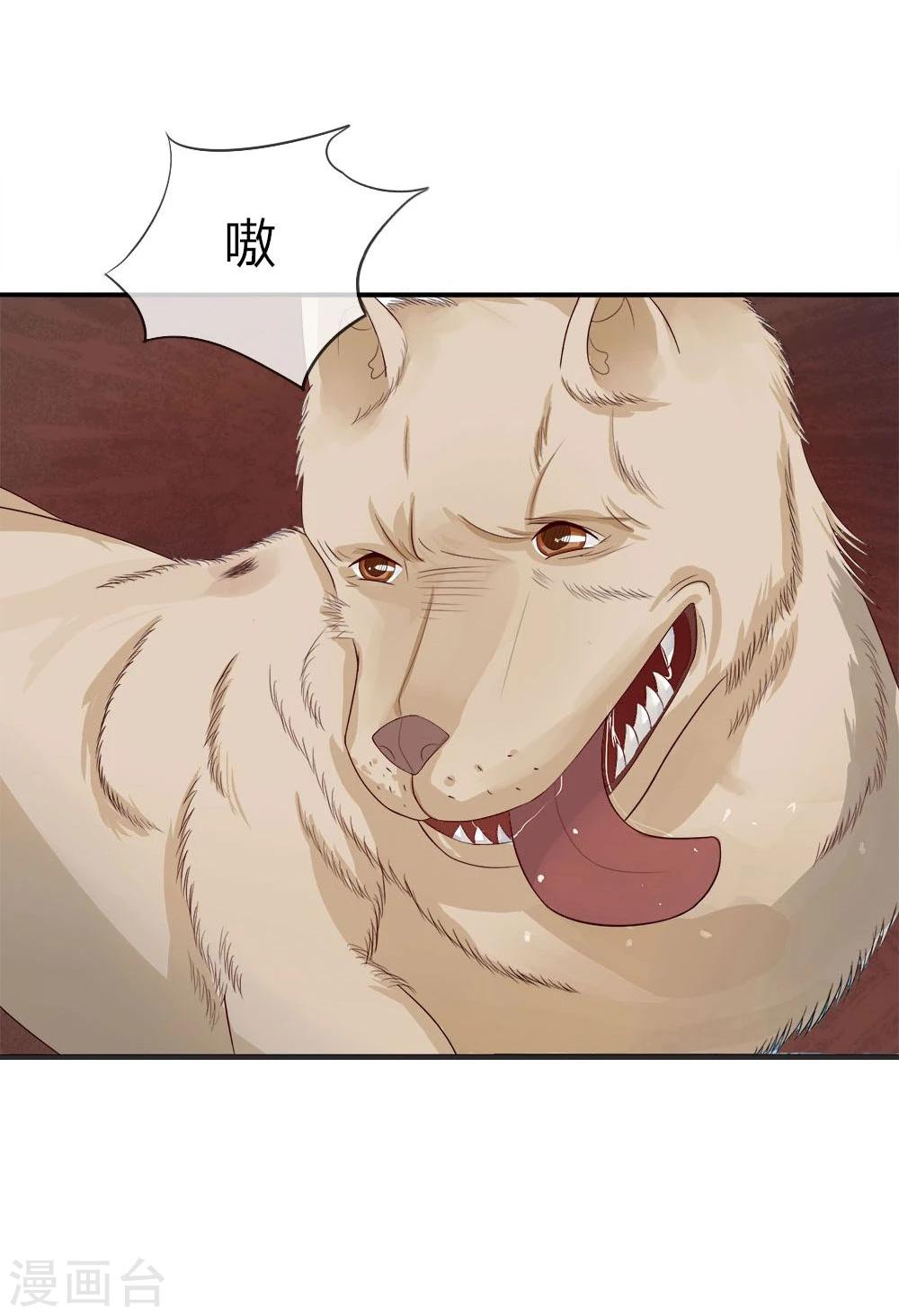 精修版第5-8话 小猫儿别怕(1/2)-第2话