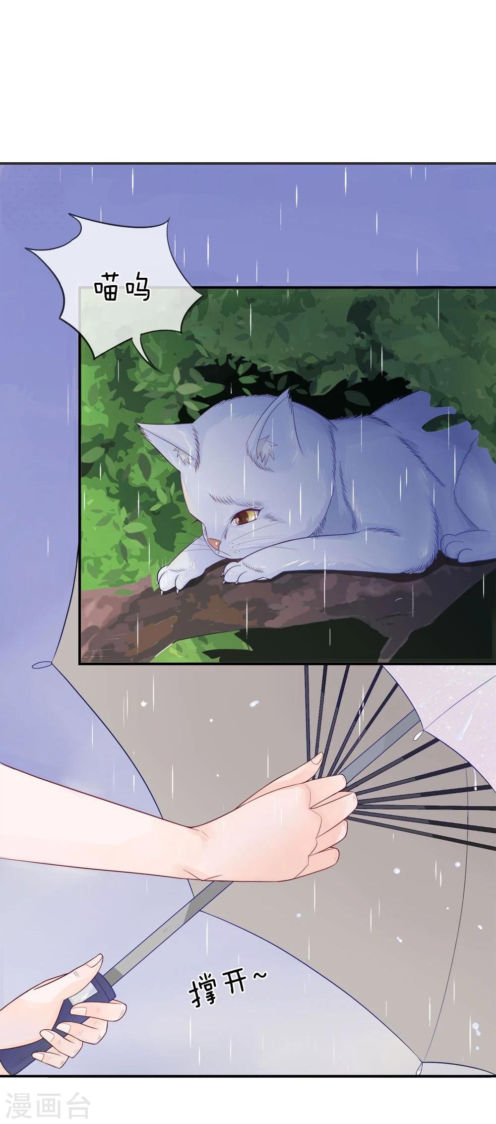 精修版第5-8话 小猫儿别怕(1/2)-第2话