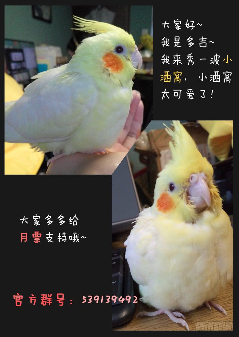 第四十五话-第50话