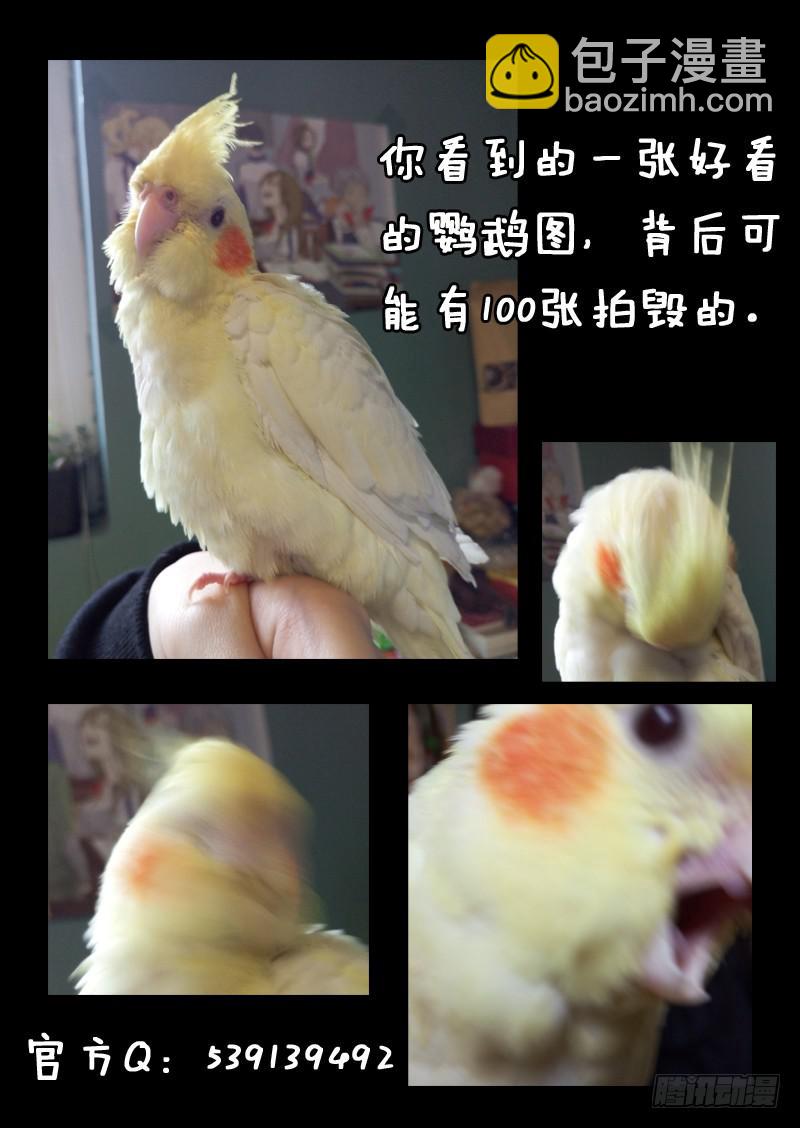 第五十五话-第60话