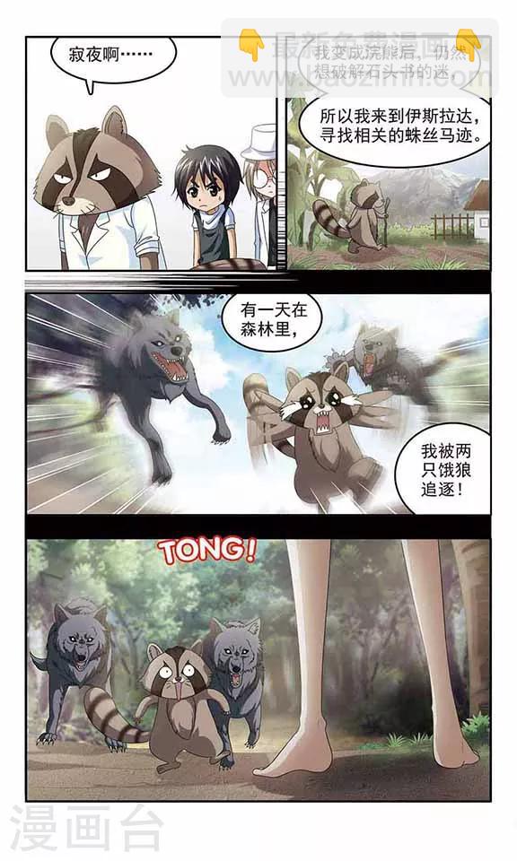 第24话 浣熊教授的故事-第26话