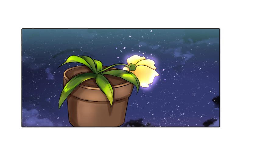 071情深之至(1/2)-第76话