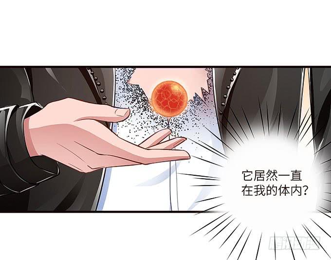 镇魂丹！-第36话