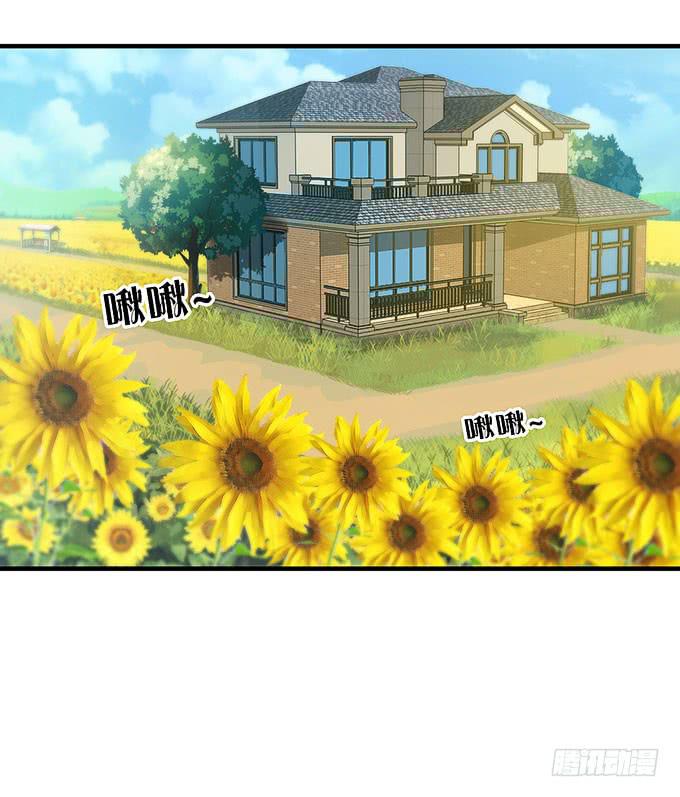 又有怪事！？(1/2)-第62话