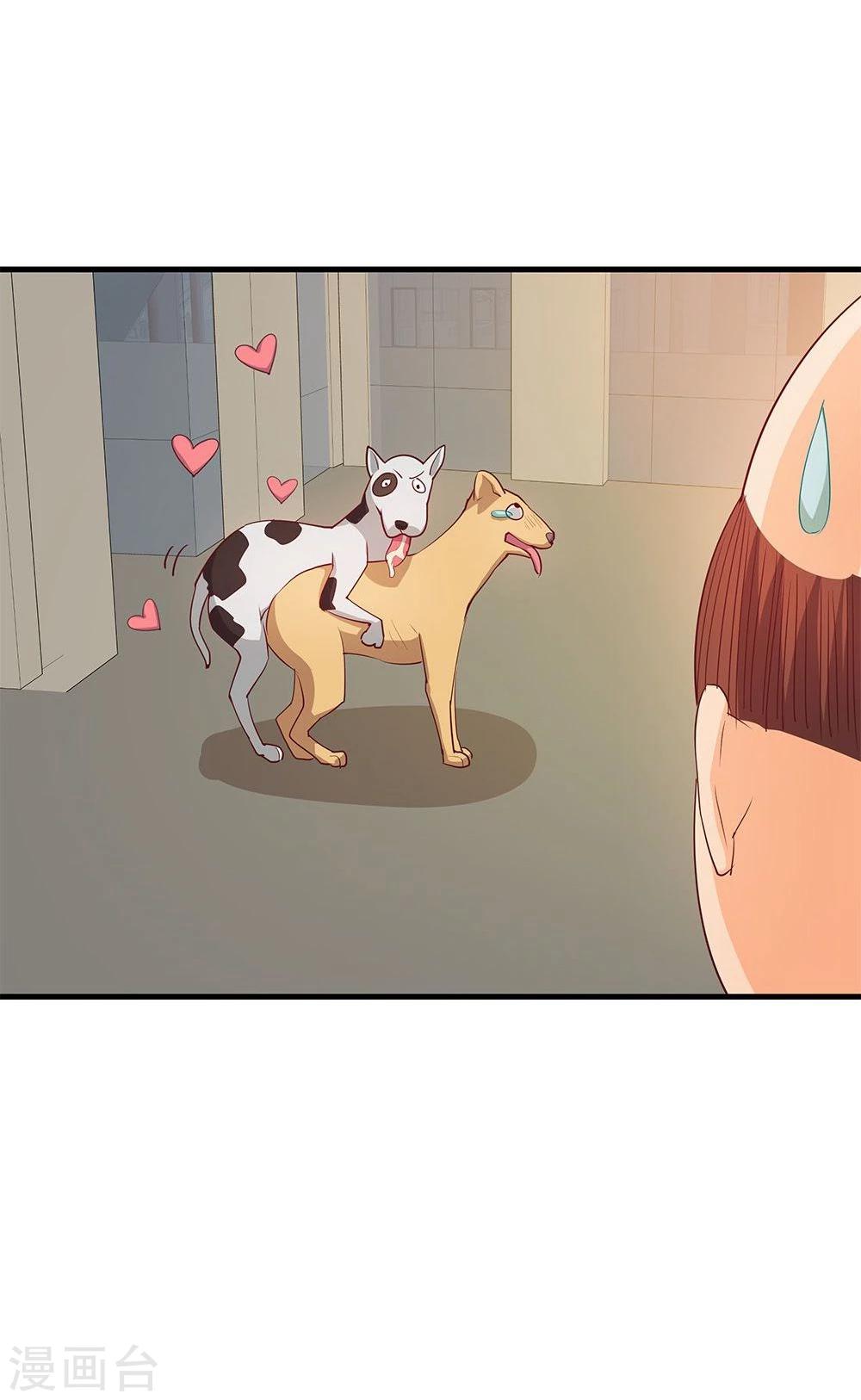 第24话(1/2)-第24话