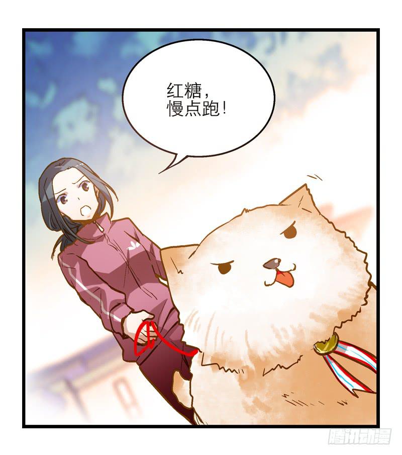 第十一回 因祸得福-第12话