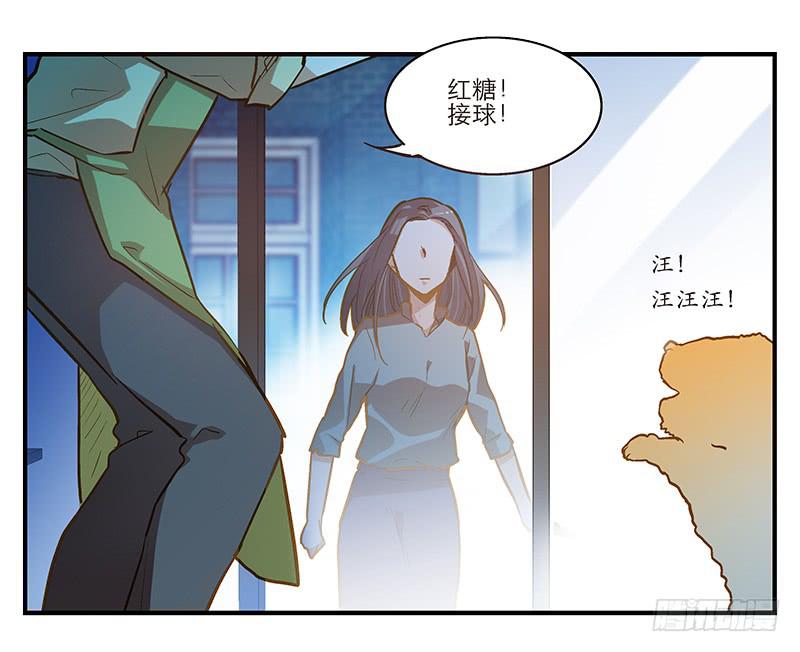 第五回 红糖的遛狗员（上-第6话