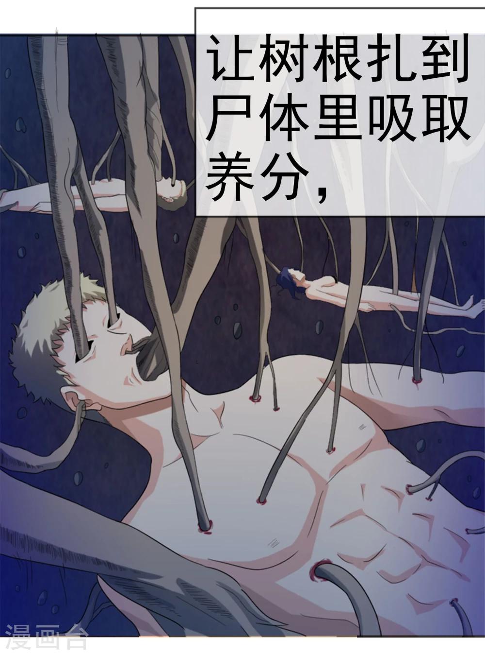 第15话 裹尸树-第16话