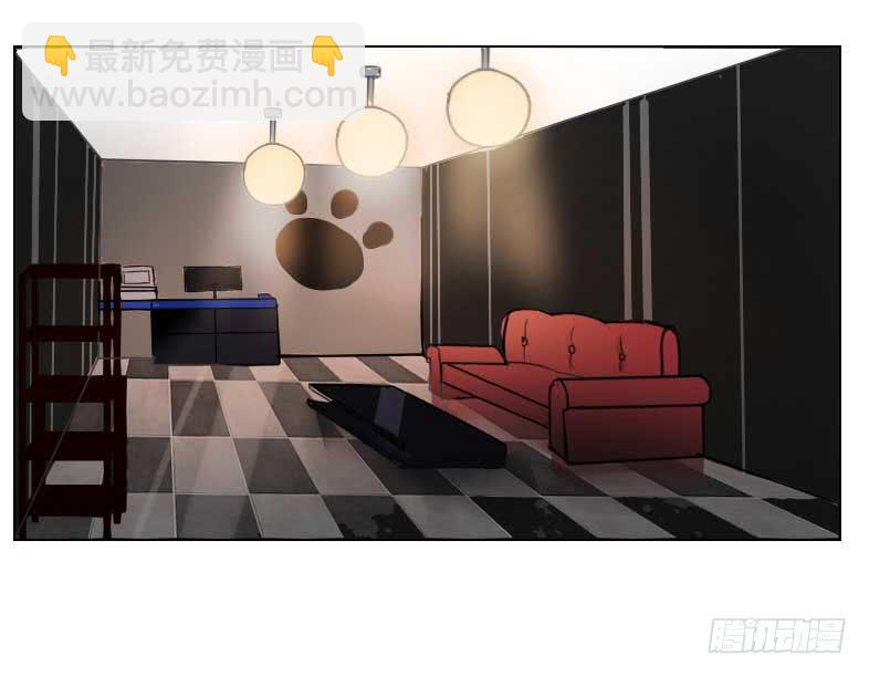 主人与宠物的精神交流?-第2话