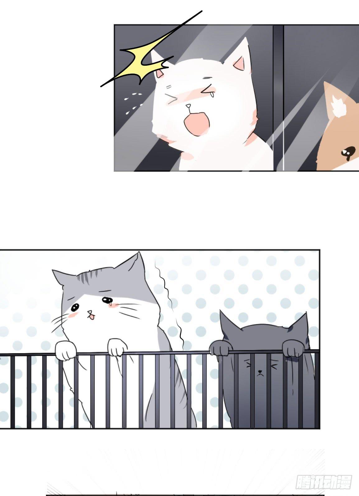 他看到了什么?-第28话