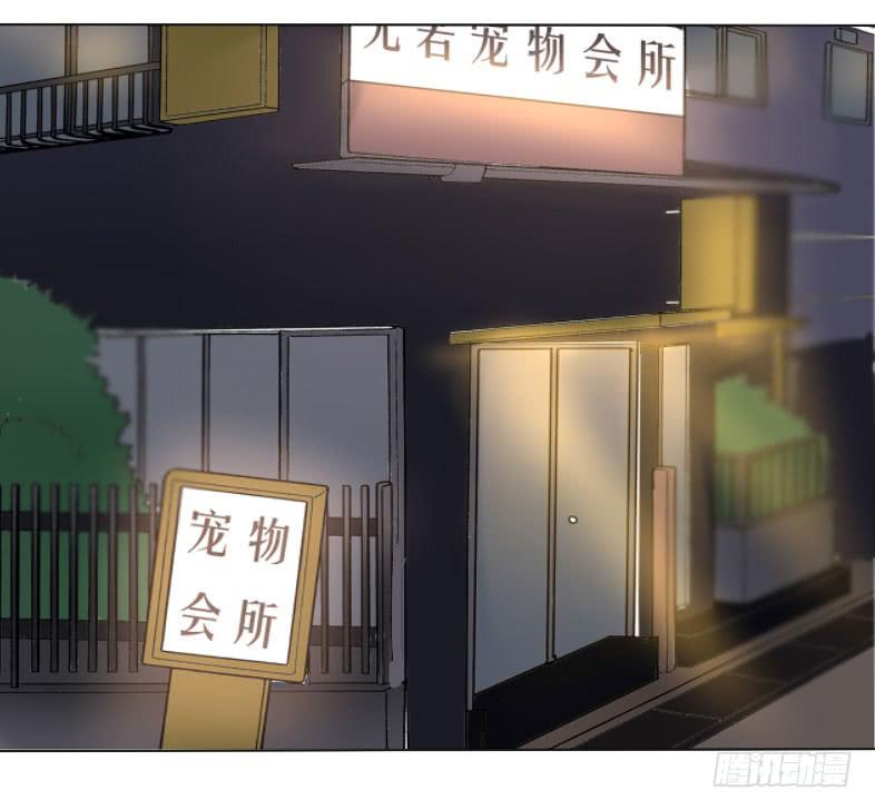 见、见习女仆?!-第6话