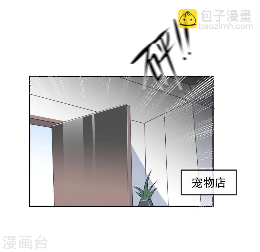 第13话 更年期的总裁-第14话