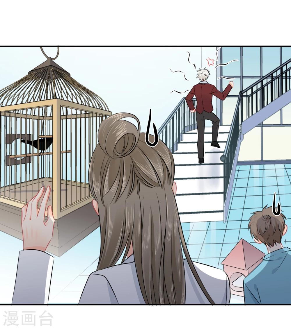 第13话 更年期的总裁-第14话