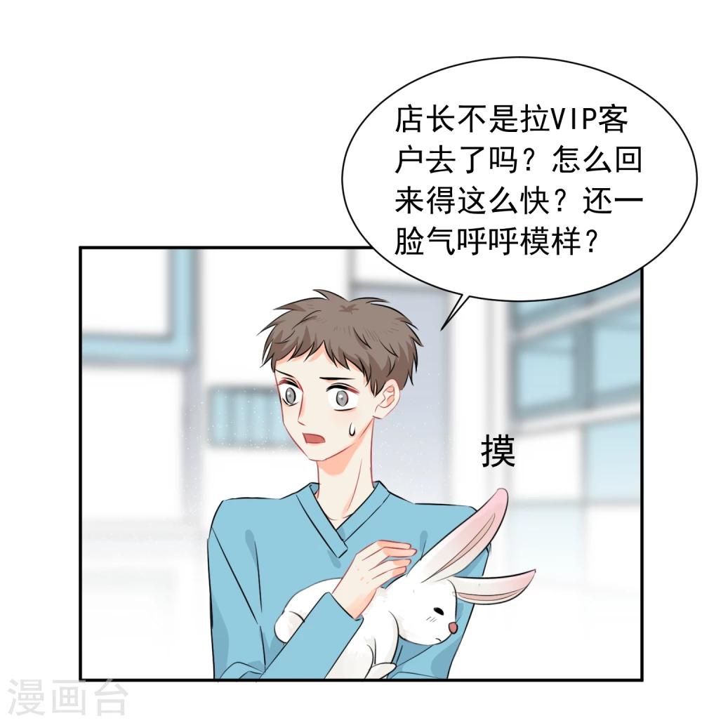 第13话 更年期的总裁-第14话