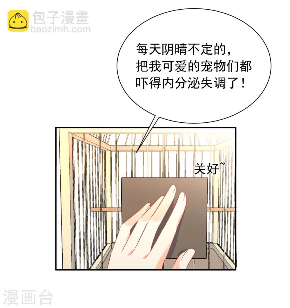 第13话 更年期的总裁-第14话